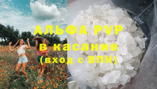 эйфоретик Дмитров