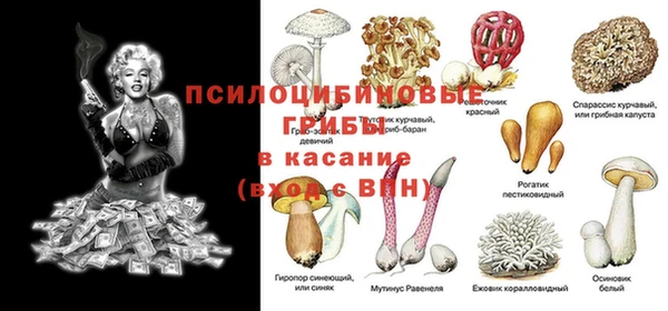 таблы Дмитриев